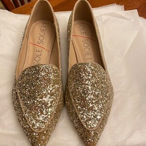 Sole Society platinum glitter pointed toe loafer.  Size 5 perfect preloved shape